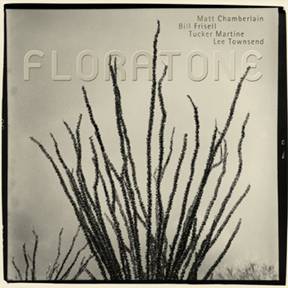Floratone &amp; Bill Frisell / Floratone  
