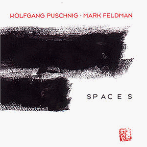 Wolfgang Puschnig &amp; Mark Feldman / Spaces
